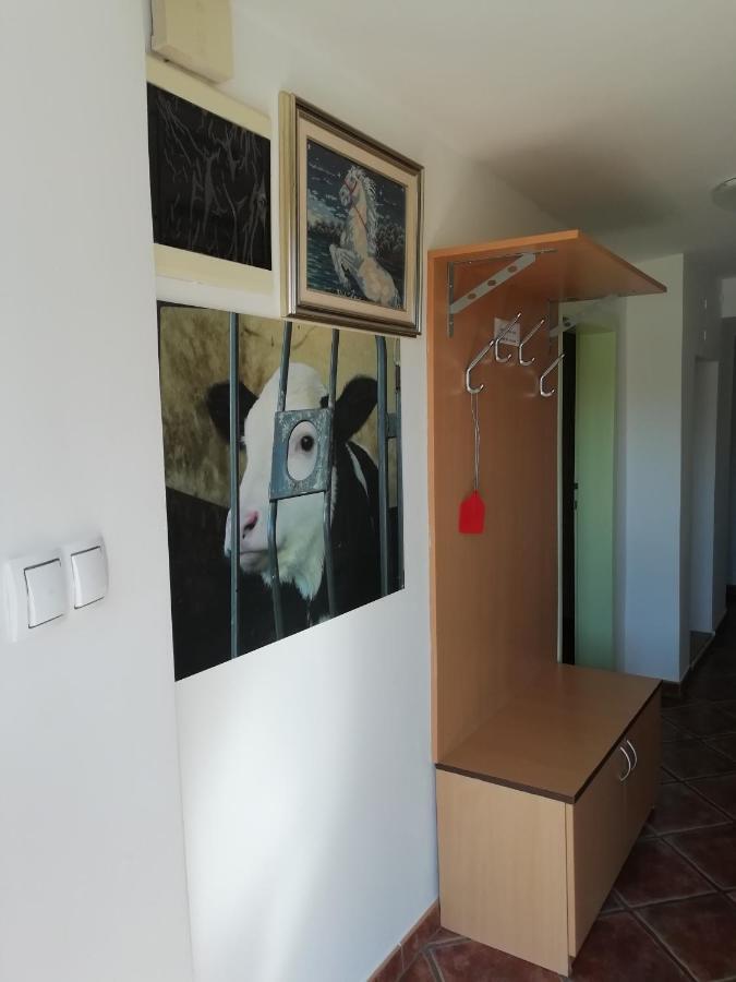 Apartma Pr' Vok Daire Lesce  Dış mekan fotoğraf